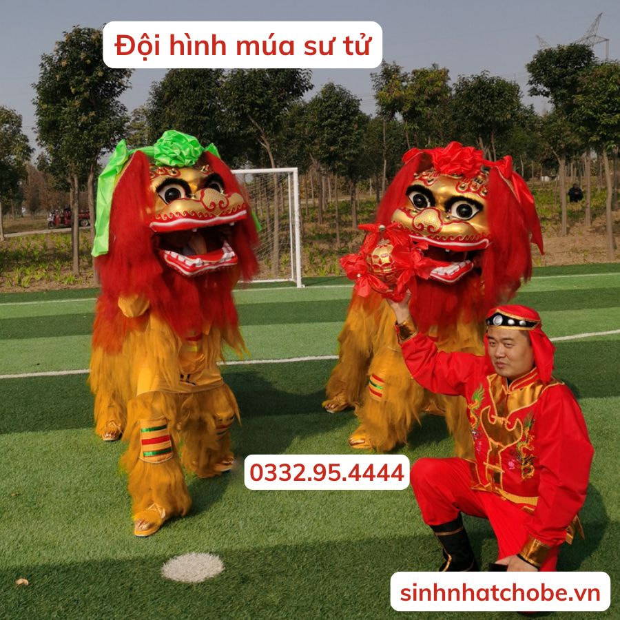 Đội hình múa sư tử
