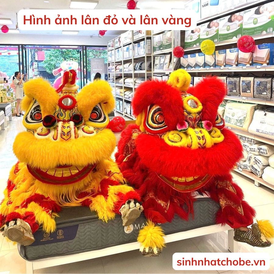 Hình ảnh lân đỏ và lân vàng sử dụng trong múa lân